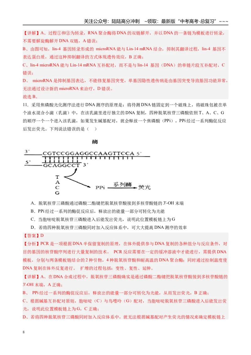 《第六单元遗传的分子基础（综合训练）（福建专用）（教师版）_06-生物-高考总复习_一轮复习_2026年-生物高考一轮复习_2026年高考生物一轮课件+讲义+练习（福建专用）-G328》第8页预览