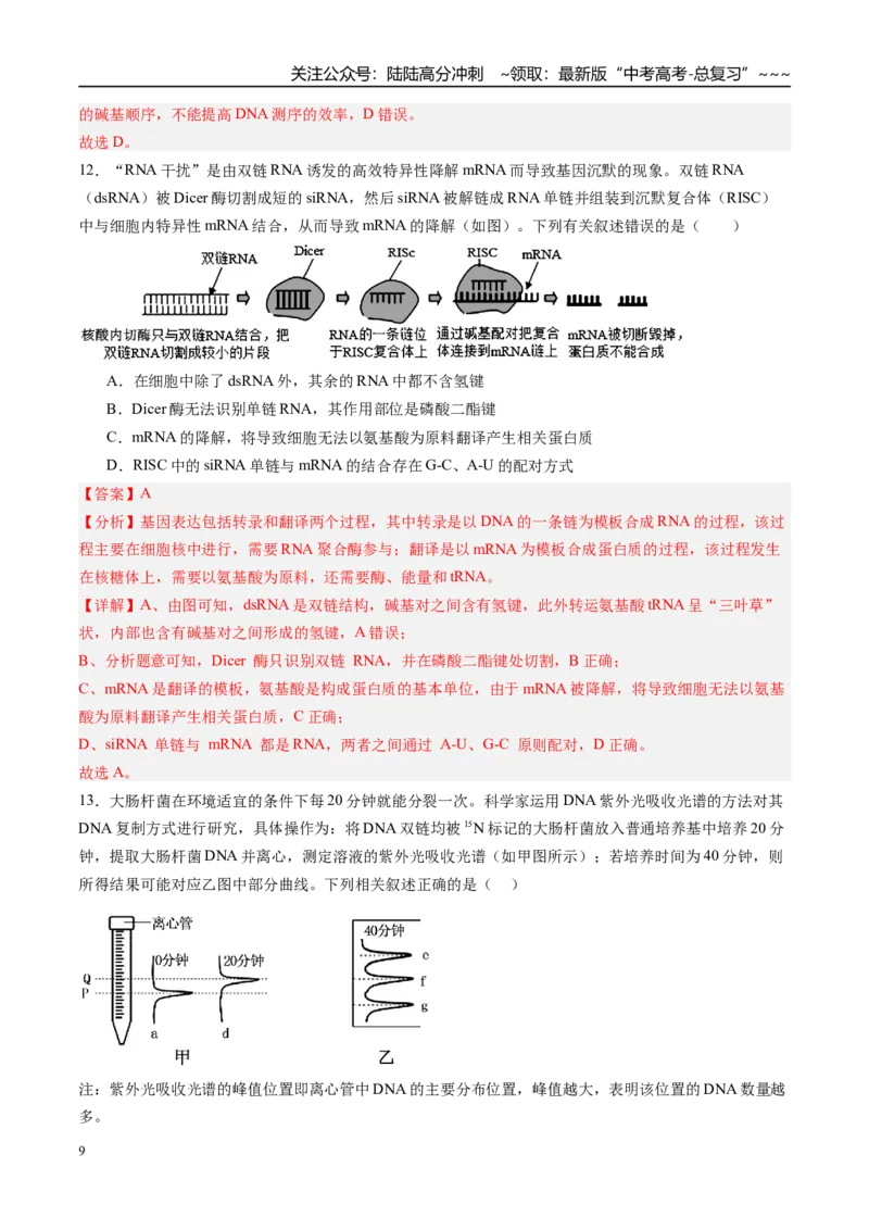 《第六单元遗传的分子基础（综合训练）（福建专用）（教师版）_06-生物-高考总复习_一轮复习_2026年-生物高考一轮复习_2026年高考生物一轮课件+讲义+练习（福建专用）-G328》第9页预览