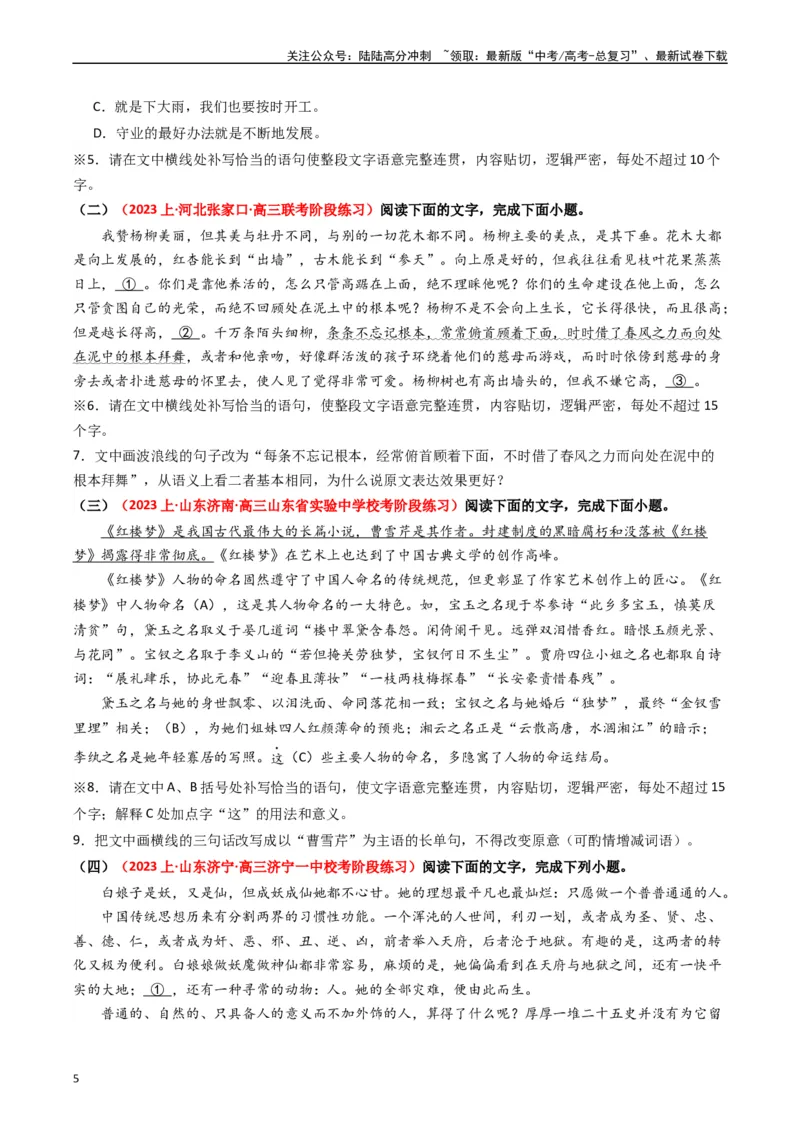 《重难点23：语言文字运用之情境式衔接题（学生版）_专项复习_2024年_2024年高考语文热点·重点·难点专练（新高考专用》第5页预览