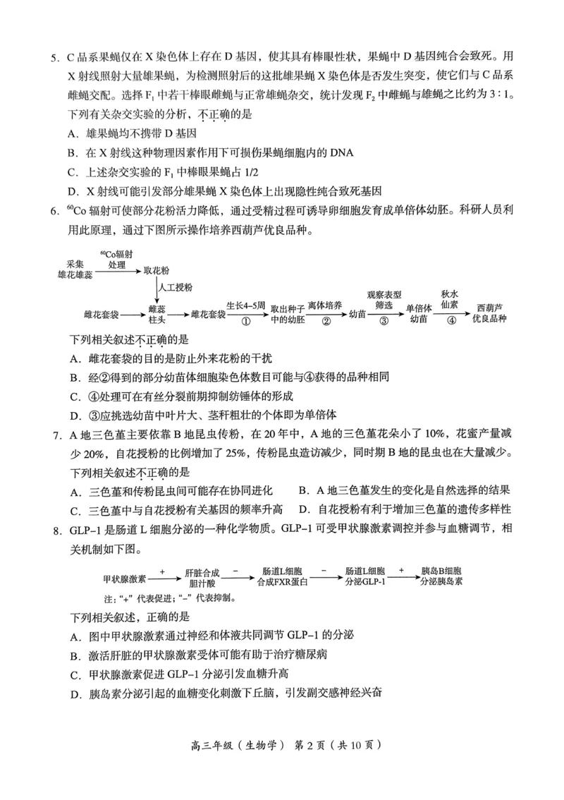 《4_2024北京市海淀一模（试卷+答案）_2025版教学资源包_（总复习系列）2025版《5年高考3年模拟》新高考版B版（⭐全科）_2025版.新高考新教材版.选考总复习.生物.5·3B版_1_资源拓展》第2页预览