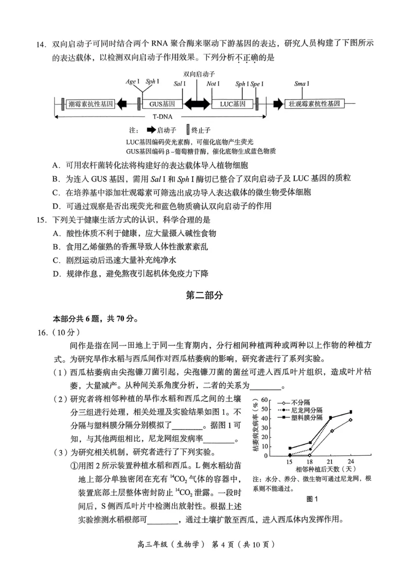 《4_2024北京市海淀一模（试卷+答案）_2025版教学资源包_（总复习系列）2025版《5年高考3年模拟》新高考版B版（⭐全科）_2025版.新高考新教材版.选考总复习.生物.5·3B版_1_资源拓展》第4页预览