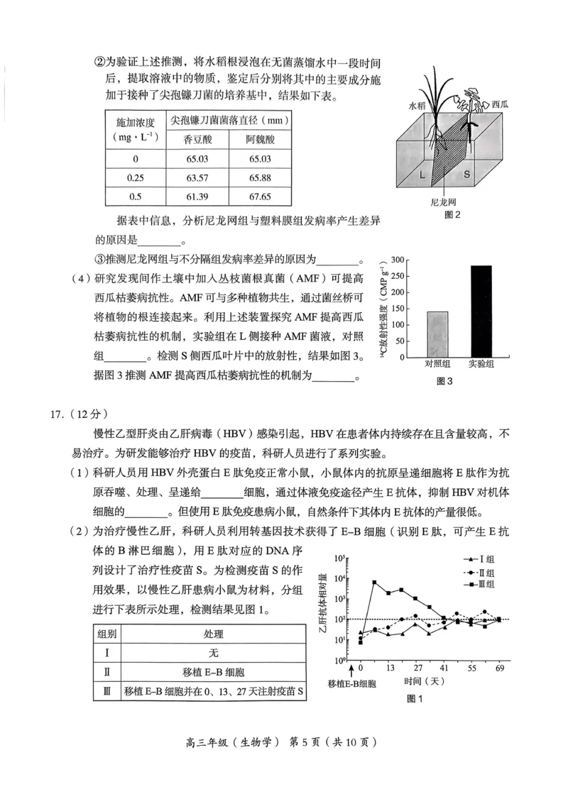 《4_2024北京市海淀一模（试卷+答案）_2025版教学资源包_（总复习系列）2025版《5年高考3年模拟》新高考版B版（⭐全科）_2025版.新高考新教材版.选考总复习.生物.5·3B版_1_资源拓展》第5页预览