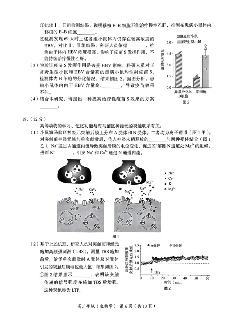 《4_2024北京市海淀一模（试卷+答案）_2025版教学资源包_（总复习系列）2025版《5年高考3年模拟》新高考版B版（⭐全科）_2025版.新高考新教材版.选考总复习.生物.5·3B版_1_资源拓展》第6页预览