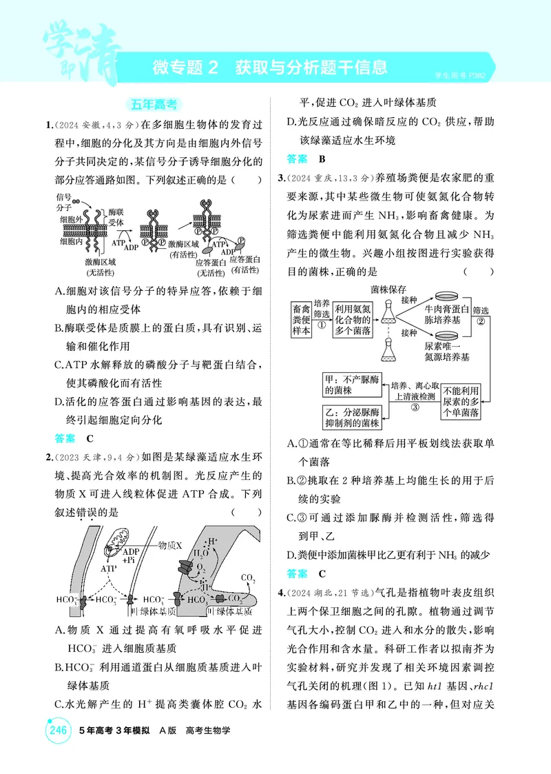 《1_精练册-微专题2获取与分析题干信息_2026版教学资源包_202653高考总复习A版_浙江版_2026版.浙江版.选考总复习.生物.5·3A版_微专题_微专题2获取与分析题干信息_1_精练册PDF》第1页预览