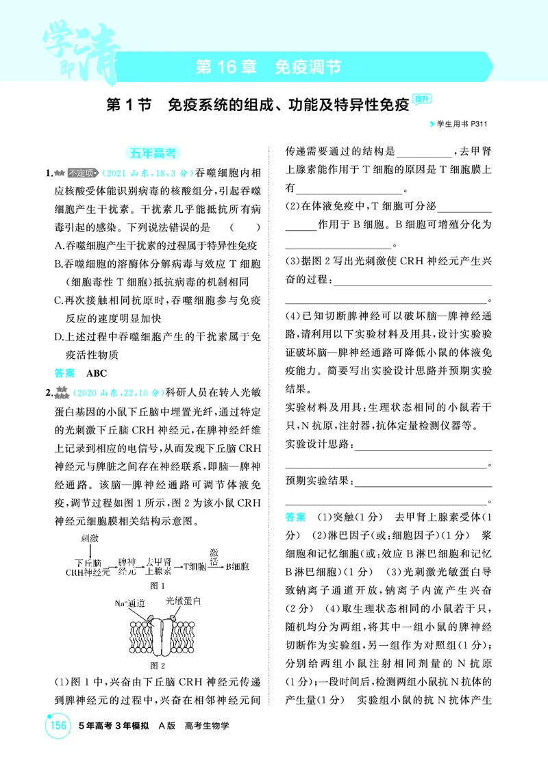 《1_精练册PDF-第16章免疫调节_2026版教学资源包_202653高考总复习A版_山东版_2026版.山东版.选考总复习.生物.5·3A版_第3部分稳态与调节_第16章免疫调节_1_精练册PDF》第1页预览
