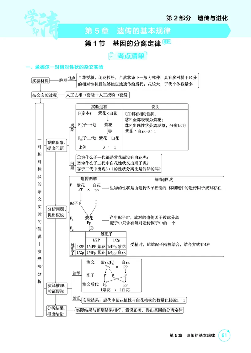 《1_精讲册-第5章遗传的基本规律_2026版教学资源包_202653高考总复习A版_浙江版_2026版.浙江版.选考总复习.生物.5·3A版_第2部分遗传与进化_第5章遗传的基本规律_2_精讲册PDF》第1页预览