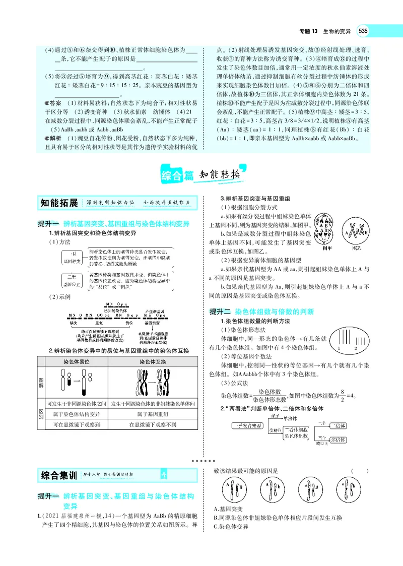 《专题13　生物的变异_2022版教学资源包_五年高考三年模拟_2022版新高考版选考总复习生物5·3A版_0125143739_专题13生物的变异_专题PDF_专题PDF_专题电子书》第10页预览