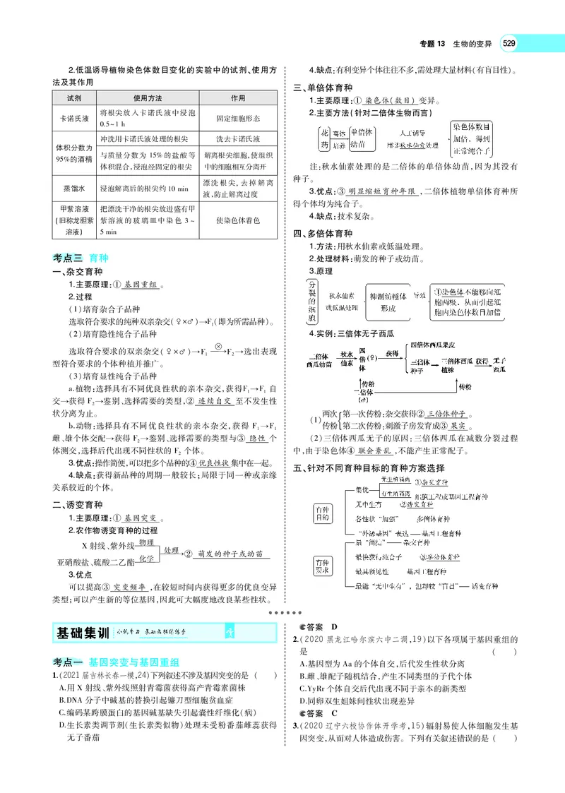 《专题13　生物的变异_2022版教学资源包_五年高考三年模拟_2022版新高考版选考总复习生物5·3A版_0125143739_专题13生物的变异_专题PDF_专题PDF_专题电子书》第4页预览