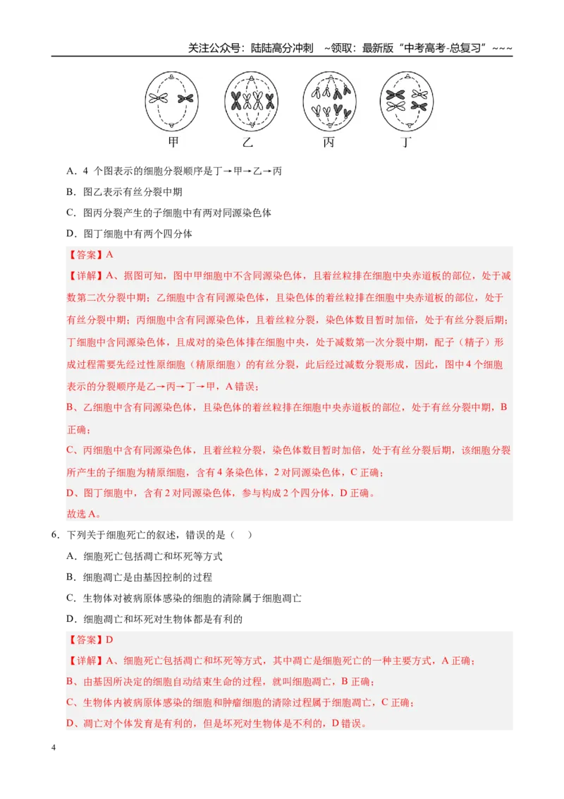 《第四单元细胞的生命历程（综合训练）（黑吉辽蒙专用）（教师版）_06-生物-高考总复习_一轮复习_2026年-生物高考一轮复习_2026年高考生物一轮课件+讲义+练习（黑吉辽蒙专用）-G330》第4页预览