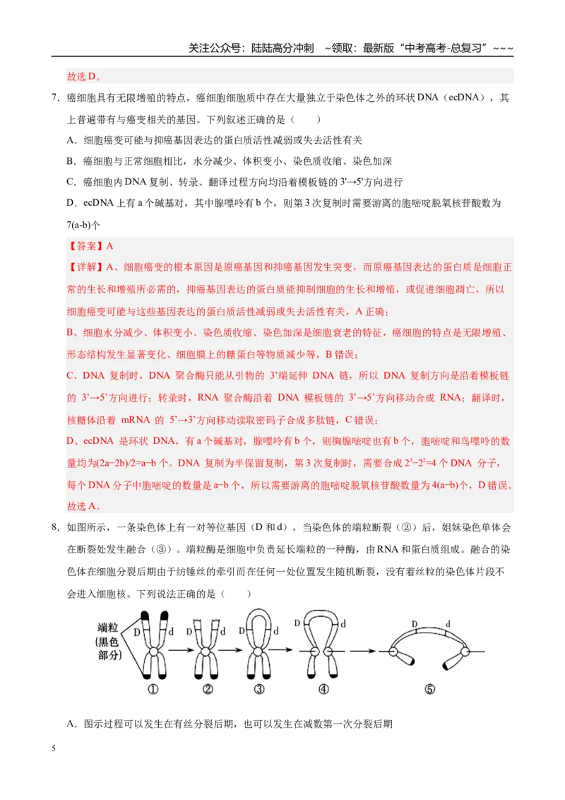 《第四单元细胞的生命历程（综合训练）（黑吉辽蒙专用）（教师版）_06-生物-高考总复习_一轮复习_2026年-生物高考一轮复习_2026年高考生物一轮课件+讲义+练习（黑吉辽蒙专用）-G330》第5页预览