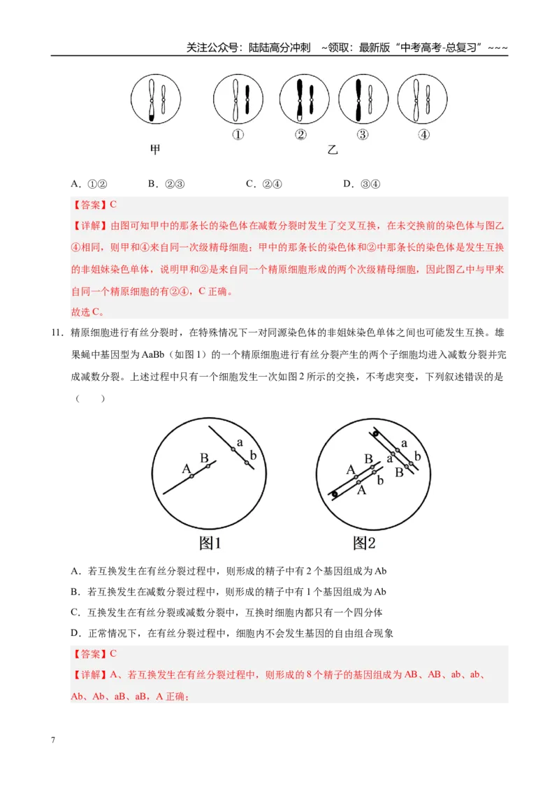 《第四单元细胞的生命历程（综合训练）（黑吉辽蒙专用）（教师版）_06-生物-高考总复习_一轮复习_2026年-生物高考一轮复习_2026年高考生物一轮课件+讲义+练习（黑吉辽蒙专用）-G330》第7页预览