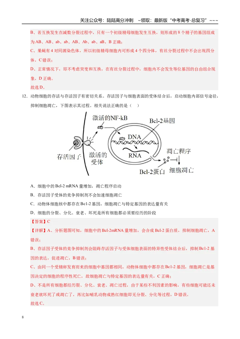 《第四单元细胞的生命历程（综合训练）（黑吉辽蒙专用）（教师版）_06-生物-高考总复习_一轮复习_2026年-生物高考一轮复习_2026年高考生物一轮课件+讲义+练习（黑吉辽蒙专用）-G330》第8页预览