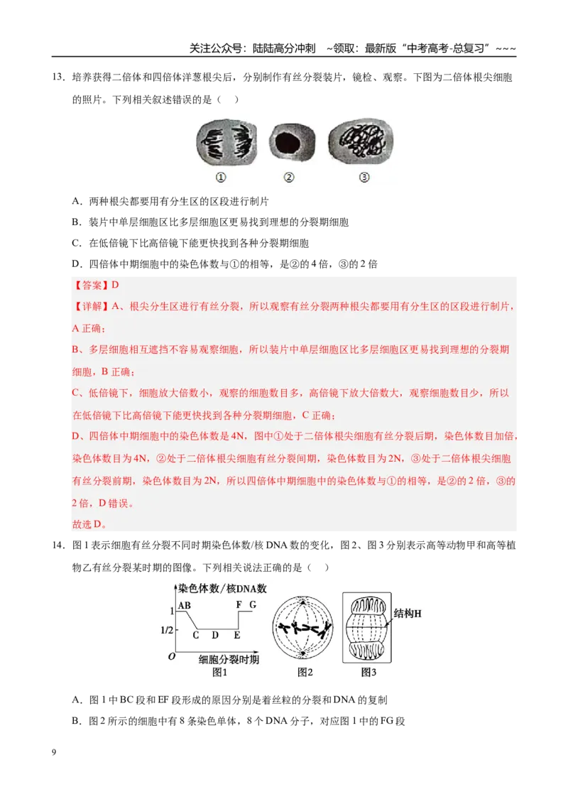 《第四单元细胞的生命历程（综合训练）（黑吉辽蒙专用）（教师版）_06-生物-高考总复习_一轮复习_2026年-生物高考一轮复习_2026年高考生物一轮课件+讲义+练习（黑吉辽蒙专用）-G330》第9页预览