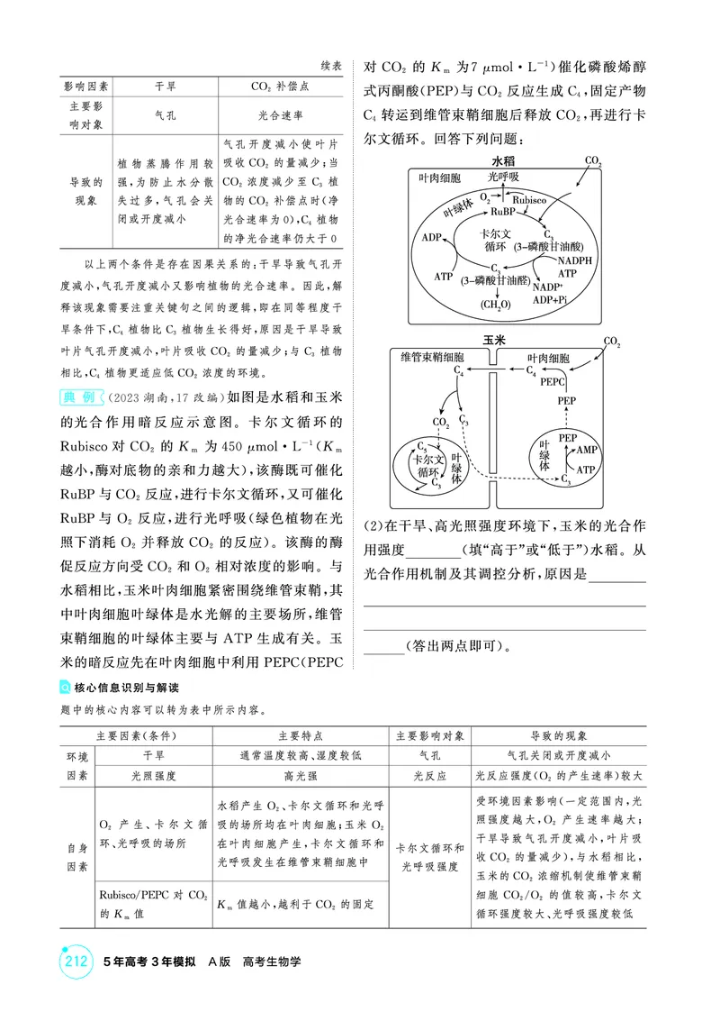 《1_精讲册PDF-微专题3精准分析与解释生物学问题_2026版教学资源包_202653高考总复习A版_山东版_2026版.山东版.选考总复习.生物.5·3A版_微专题_微专题3精准分析与解释生物学问题_2_精讲册PDF》第3页预览