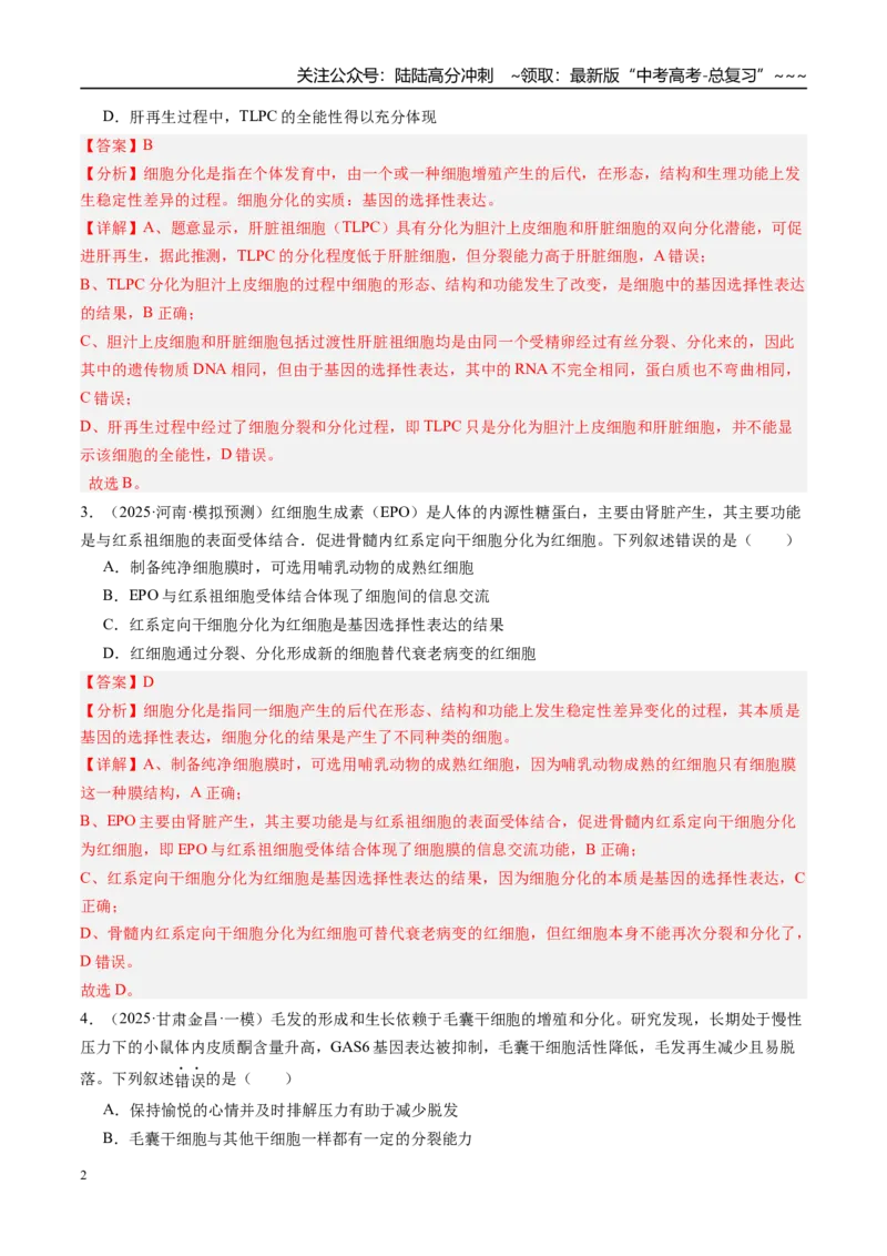 《第四单元细胞的生命历程（综合训练）（教师版）（安徽专用）_06-生物-高考总复习_一轮复习_2026年-生物高考一轮复习_2026年高考生物一轮课件+讲义+练习（安徽专用）-G326》第2页预览