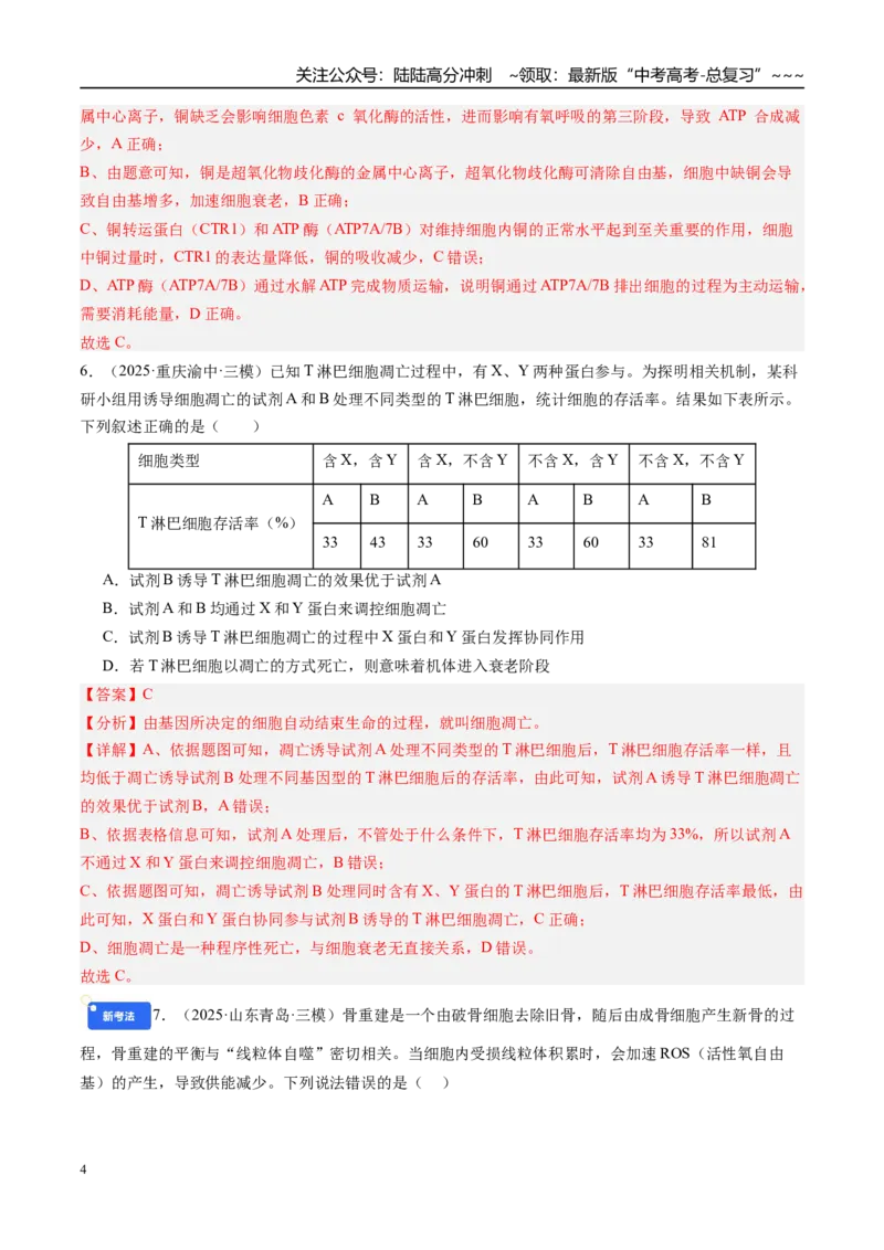 《第四单元细胞的生命历程（综合训练）（教师版）（安徽专用）_06-生物-高考总复习_一轮复习_2026年-生物高考一轮复习_2026年高考生物一轮课件+讲义+练习（安徽专用）-G326》第4页预览