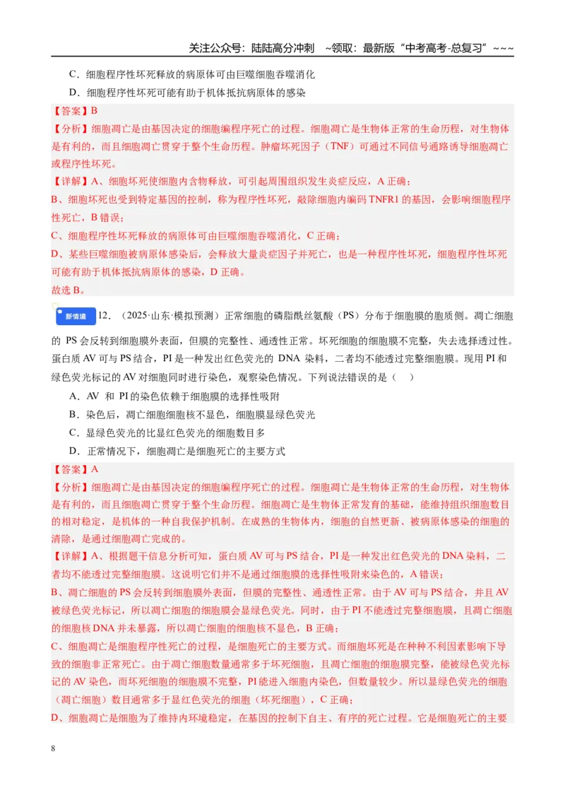 《第四单元细胞的生命历程（综合训练）（教师版）（安徽专用）_06-生物-高考总复习_一轮复习_2026年-生物高考一轮复习_2026年高考生物一轮课件+讲义+练习（安徽专用）-G326》第8页预览