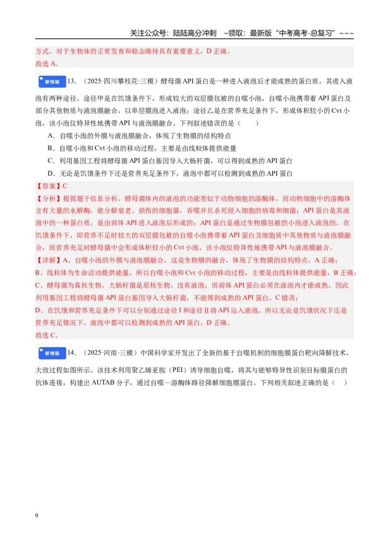 《第四单元细胞的生命历程（综合训练）（教师版）（安徽专用）_06-生物-高考总复习_一轮复习_2026年-生物高考一轮复习_2026年高考生物一轮课件+讲义+练习（安徽专用）-G326》第9页预览