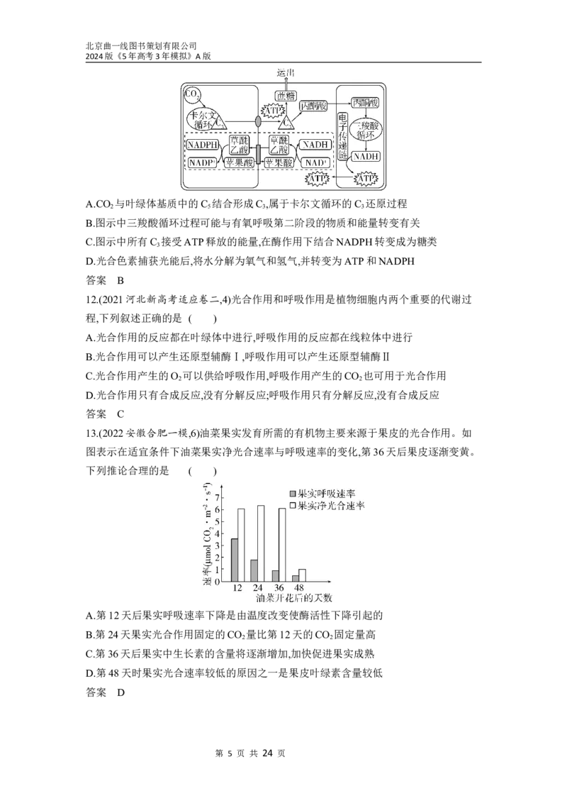 《1_06-专题六　光合作用（分层集训word）_2024版教学资源包_2024版.新高考版生物.5·3A版_6_专题六光合作用_3_习题WORD》第5页预览