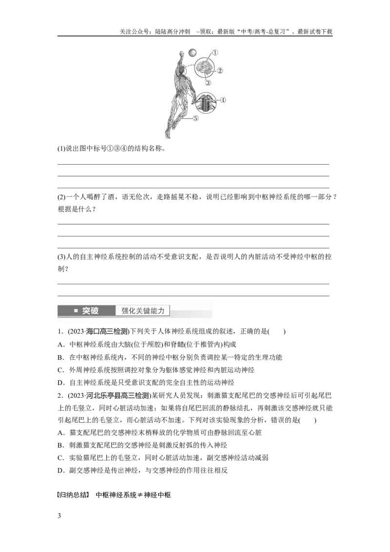 《第8单元　第2课时　神经调节的结构基础及基本方式_06-生物-高考总复习_一轮复习_2024年_2024高考生物大一轮复习课件讲义新人教版知识总结_2024年高考生物一轮复习讲义（新人教版）》第3页预览