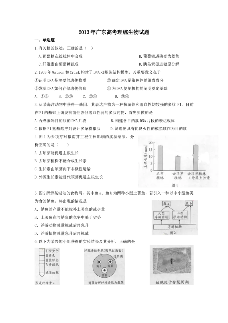 《2013广东高考理综生物试卷及答案_高考一二三轮复习_生物_2026年-生物高考专项复习_2008年-2025年生物高考真题_2008-2020年高考_地方卷_广东高考生物08-20》第1页预览