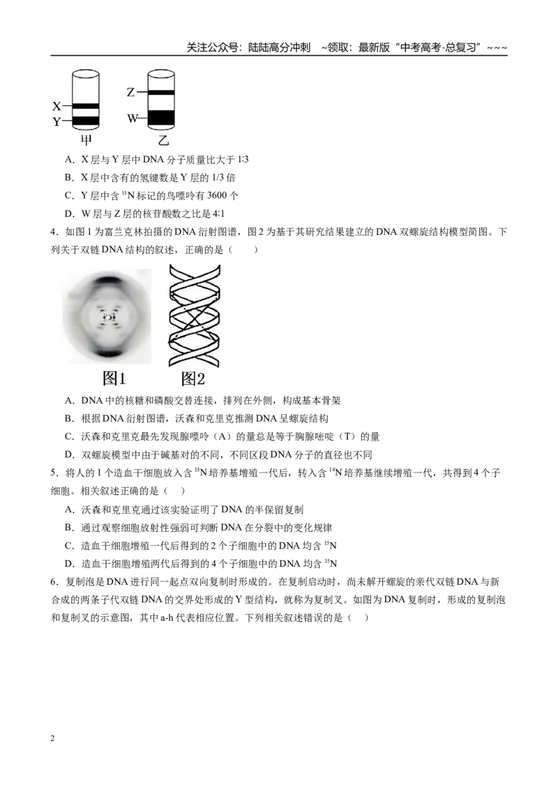《第六单元遗传的分子基础（综合训练）（安徽专用）（学生版）_06-生物-高考总复习_一轮复习_2026年-生物高考一轮复习_2026年高考生物一轮课件+讲义+练习（安徽专用）-G326》第2页预览