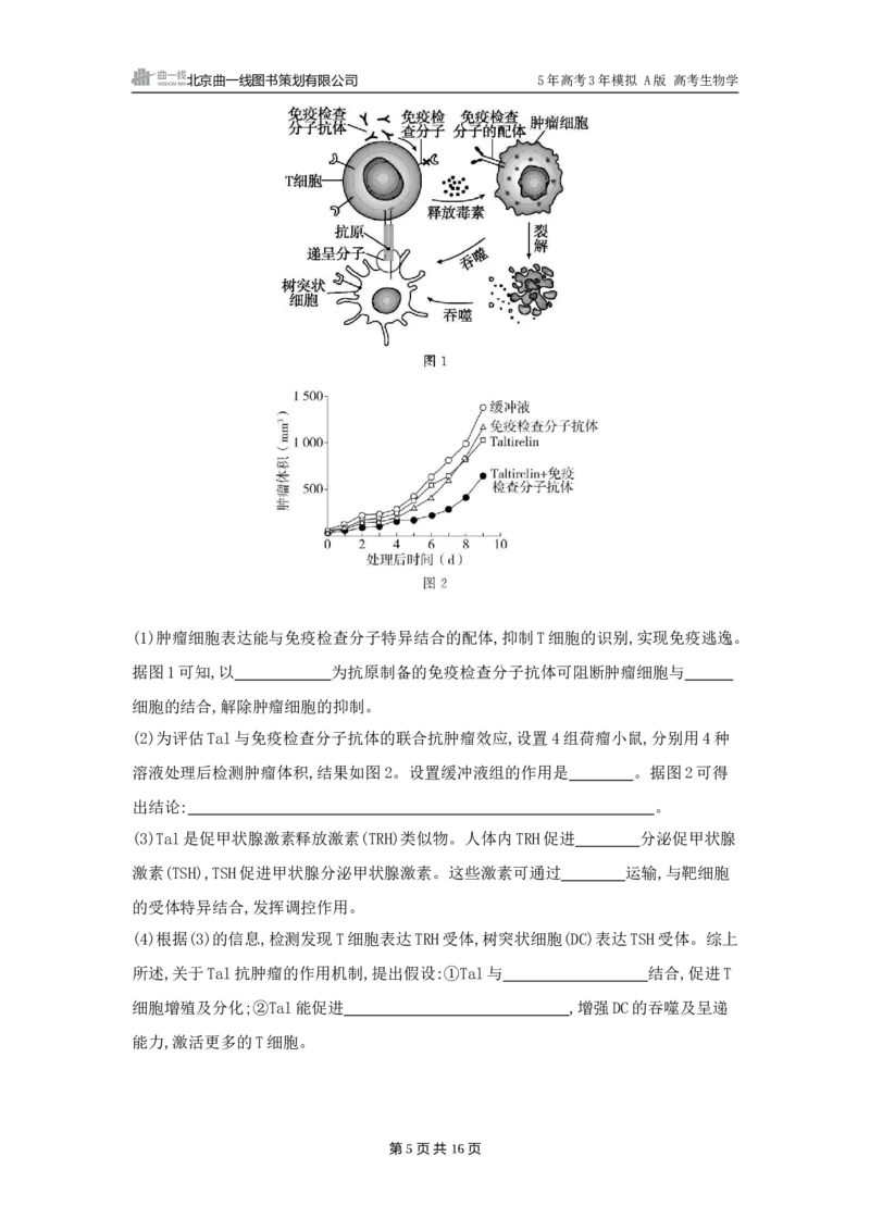 《1_精练册word-第16章　免疫调节_2026版教学资源包_202653高考总复习A版_广东版_2026版.广东版.选考总复习.生物.5·3A版_第3部分稳态与调节_第16章免疫调节_3_习题WORD》第5页预览
