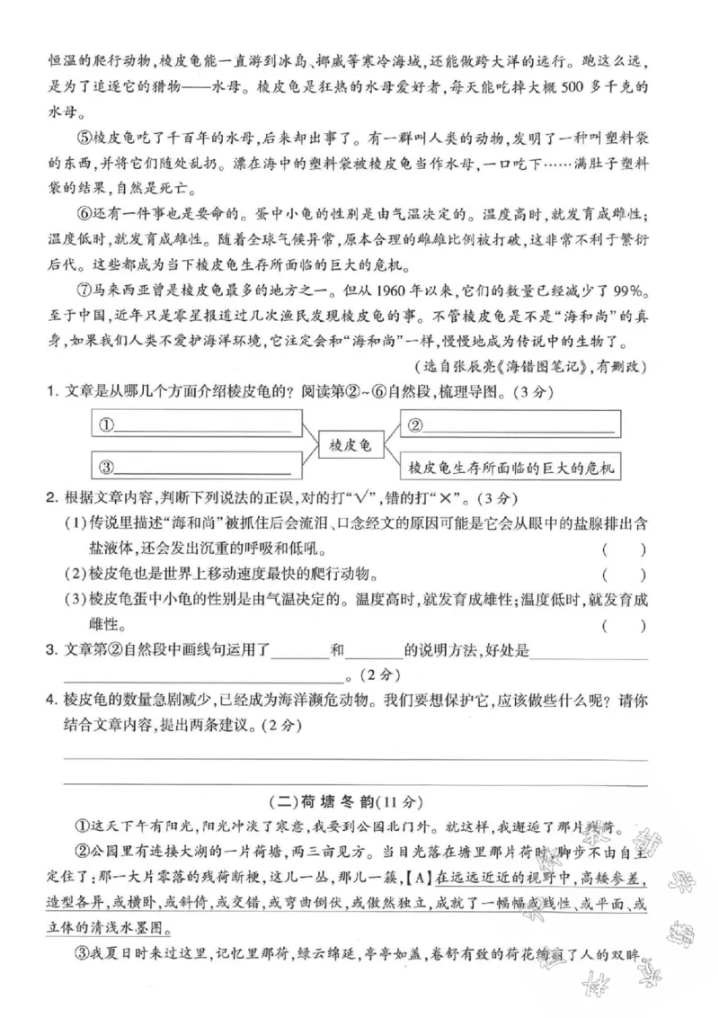 《五年级上册语文期中真题检测卷-SY_5年级上册同步教辅_5上语文_五上语文单元+期中+期末卷_五上语文期中卷》第4页预览