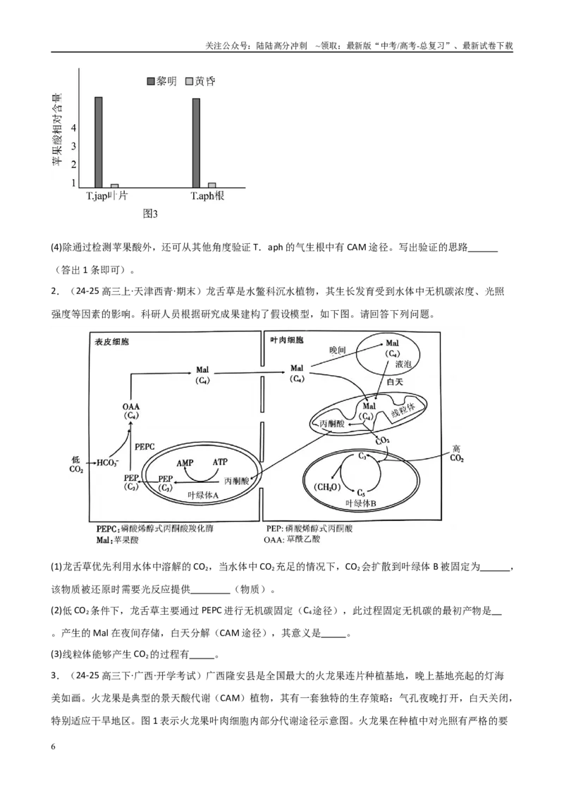 《重难题型02C3植物、C4植物和CAM植物的光合作用（学生版）_06-生物-高考总复习_专项复习_2025年_2025年高考生物重难点讲义专练（新高考通用）》第6页预览
