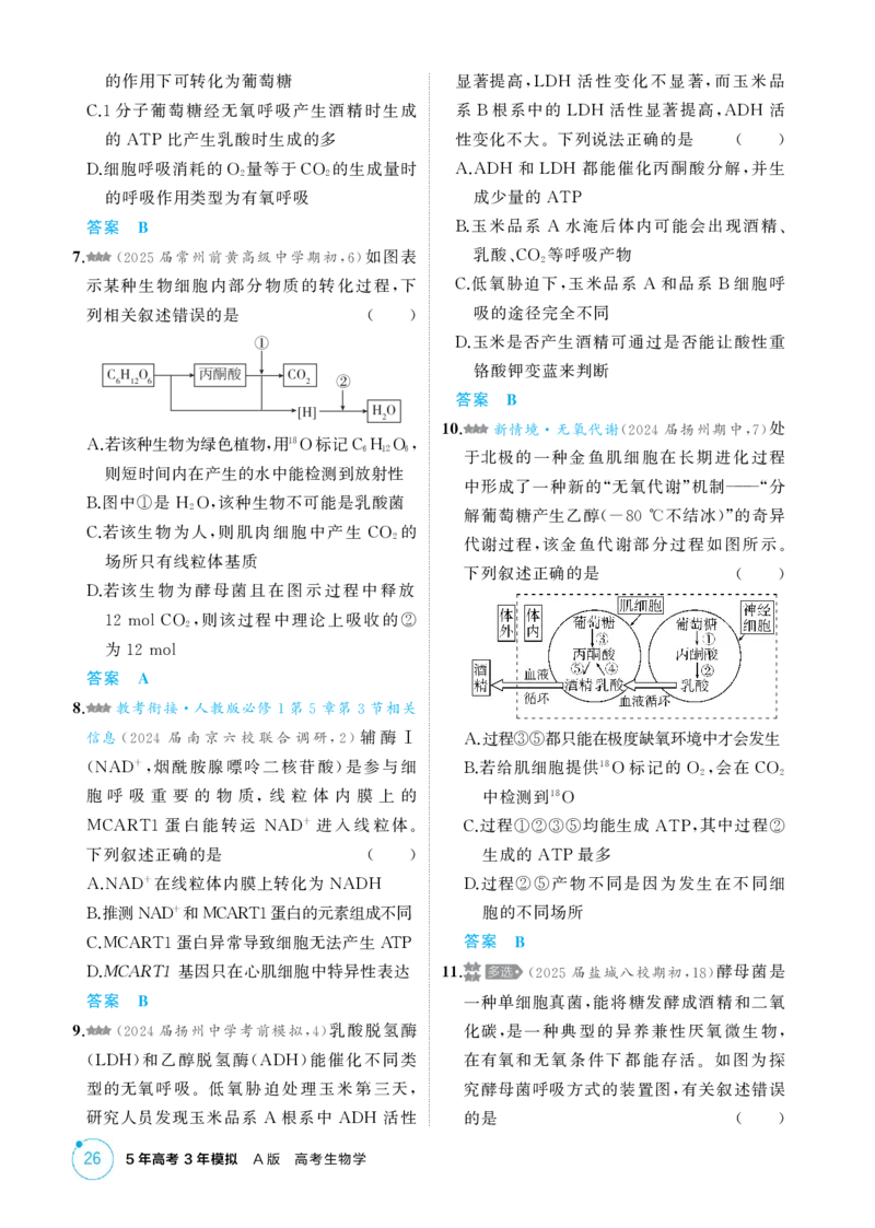 《1_精练册-第4章　细胞的能量供应和利用_2026版教学资源包_202653高考总复习A版_江苏版_2026版.江苏版.选考总复习.生物.5·3A版_第1部分分子与细胞_第4章细胞的能量供应和利用_1_精练册PDF》第6页预览