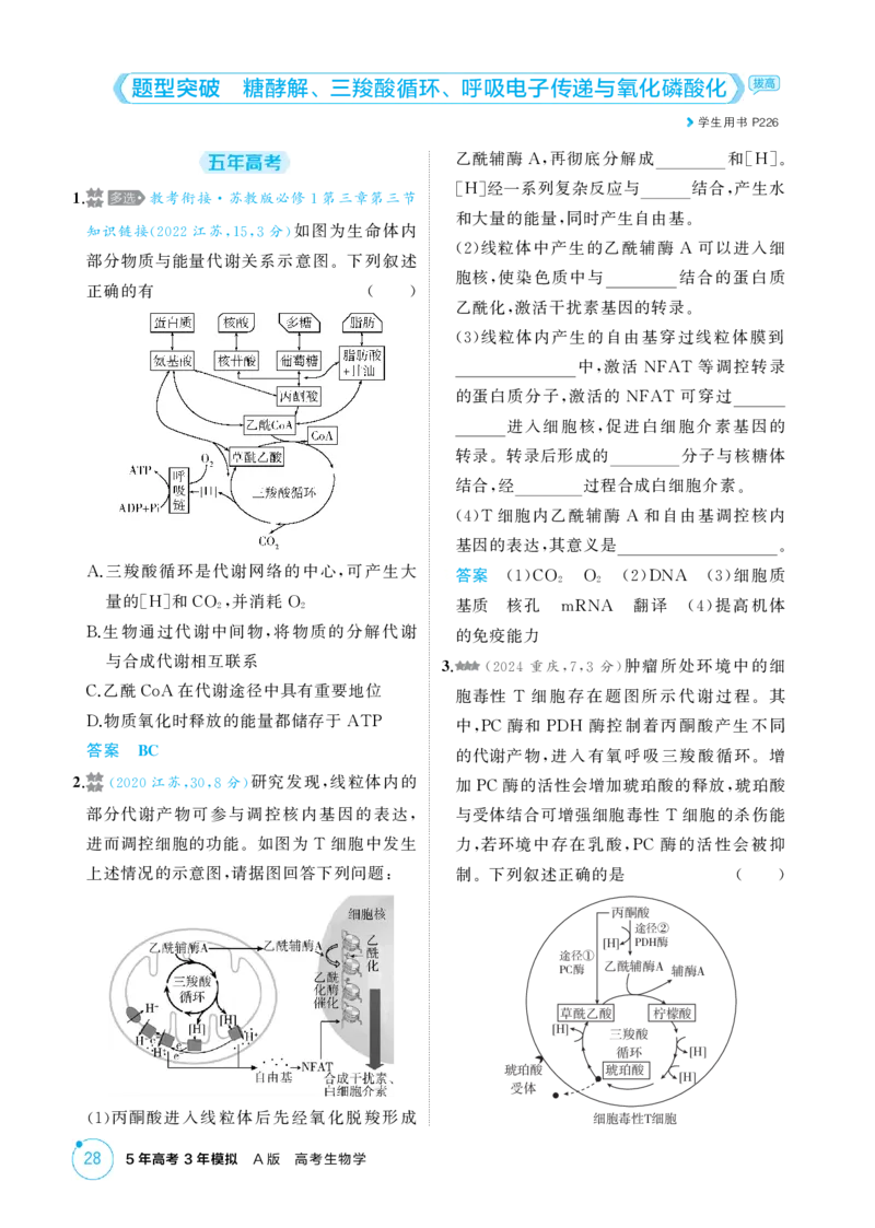 《1_精练册-第4章　细胞的能量供应和利用_2026版教学资源包_202653高考总复习A版_江苏版_2026版.江苏版.选考总复习.生物.5·3A版_第1部分分子与细胞_第4章细胞的能量供应和利用_1_精练册PDF》第8页预览