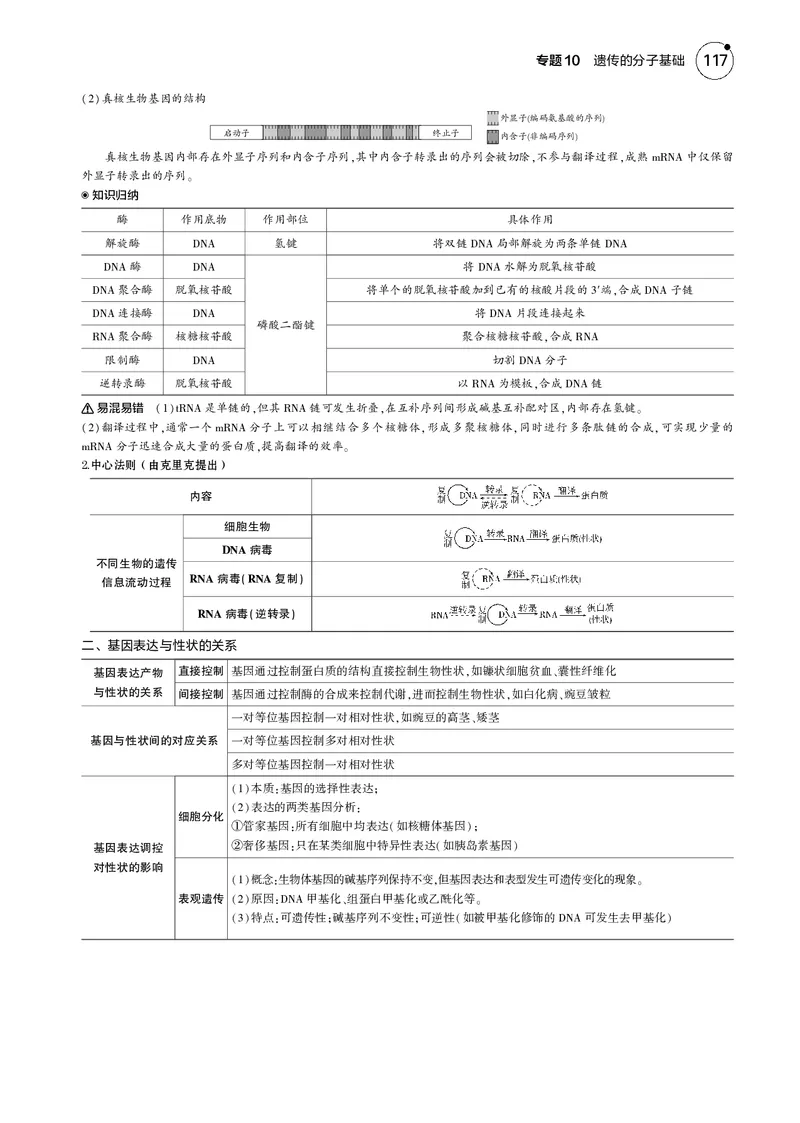 《5_2025版5·3B版新高考版教师用书PDF_2025版教学资源包_（总复习系列）2025版《5年高考3年模拟》新高考版B版（⭐全科）_2025版.新高考新教材版.选考总复习.生物.5·3B版_1_专题资料包》第5页预览
