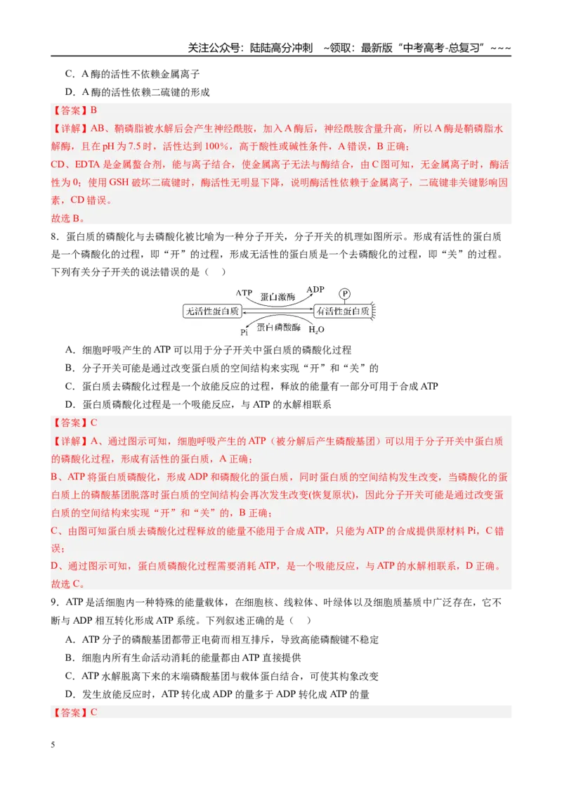 《第三单元细胞的能量供应和利用（综合训练）（四川专用）（教师版）_06-生物-高考总复习_一轮复习_2026年-生物高考一轮复习_2026年高考生物一轮课件+讲义+练习（四川专用）-G335》第5页预览