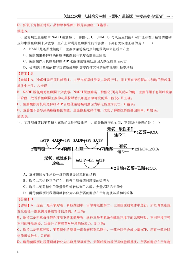 《第三单元细胞的能量供应和利用（综合训练）（四川专用）（教师版）_06-生物-高考总复习_一轮复习_2026年-生物高考一轮复习_2026年高考生物一轮课件+讲义+练习（四川专用）-G335》第8页预览