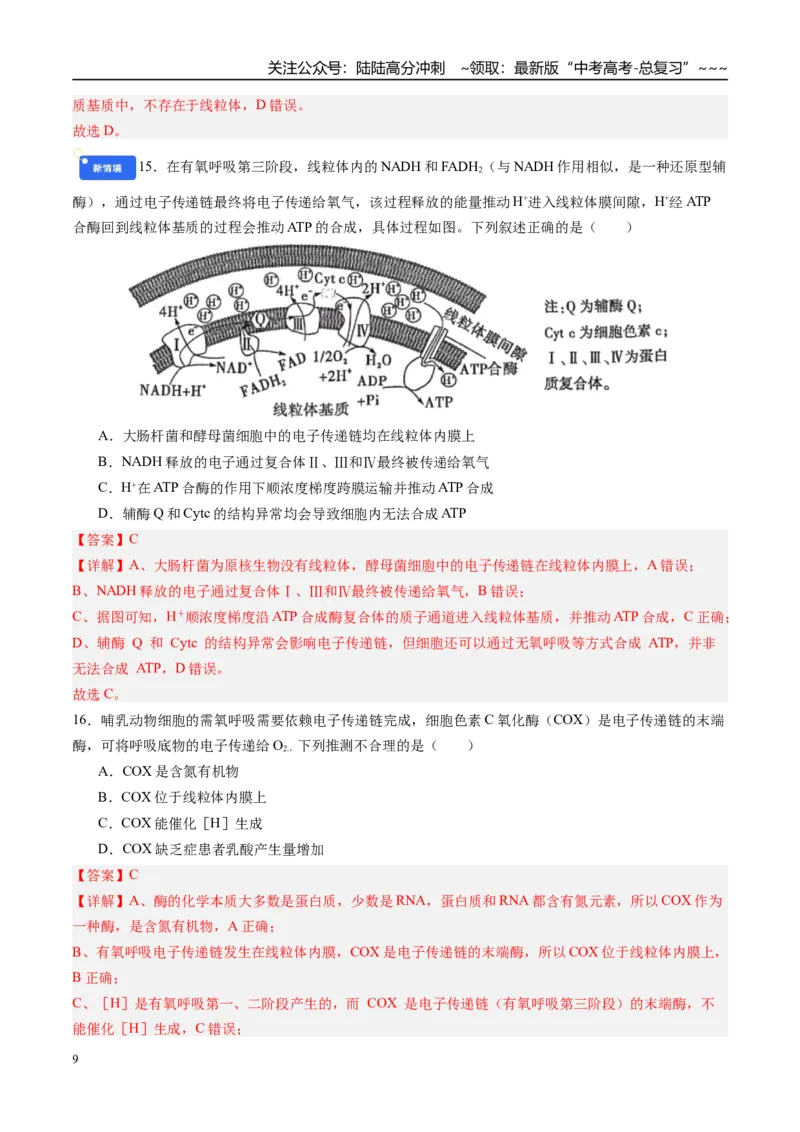 《第三单元细胞的能量供应和利用（综合训练）（四川专用）（教师版）_06-生物-高考总复习_一轮复习_2026年-生物高考一轮复习_2026年高考生物一轮课件+讲义+练习（四川专用）-G335》第9页预览