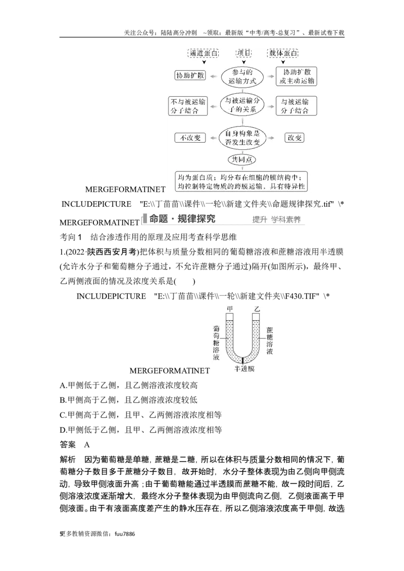 《第6讲细胞内物质输入和输出_06-生物-高考总复习_一轮复习_2024年_2024高考生物大一轮复习课件讲义新人教版知识总结_2024年高考生物一轮复习讲义（新人教版）_另赠1套Word版题库_必修1》第5页预览