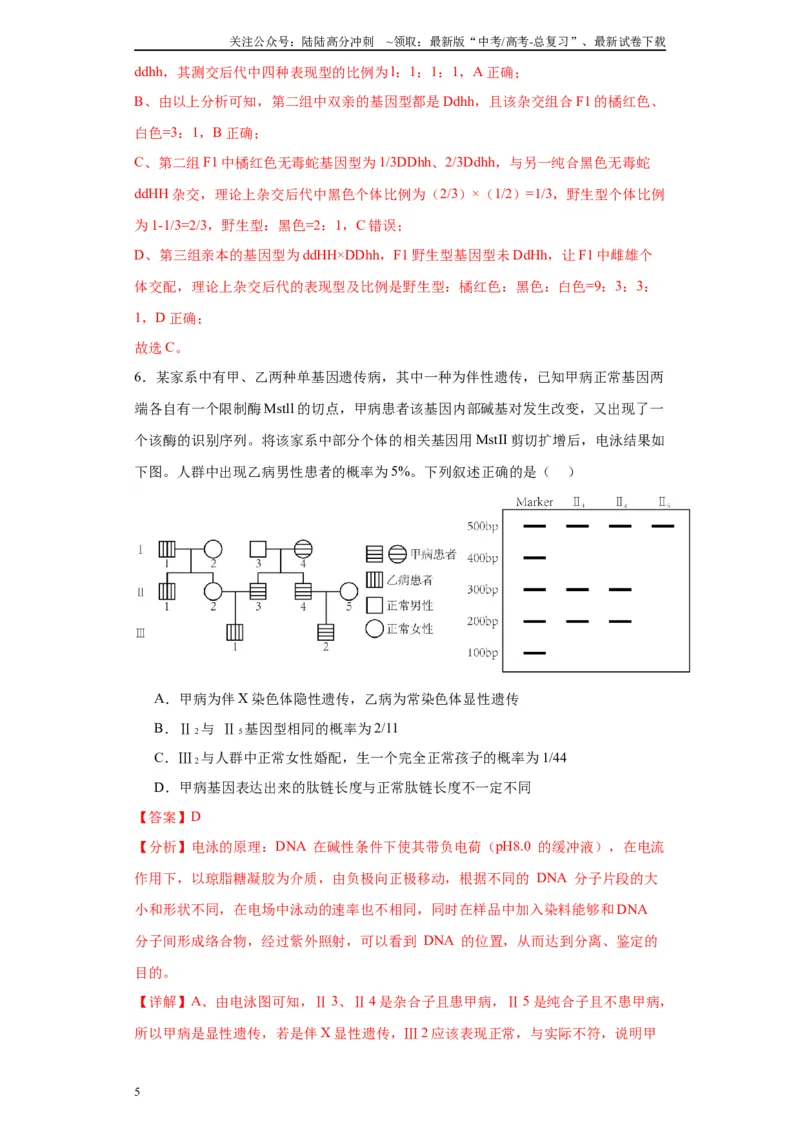 《第五单元基因的传递规律（测试卷）（解析版)_06-生物-高考总复习_一轮复习_2024年_2024年高考生物一轮复习重难点专项突破_资料》第5页预览