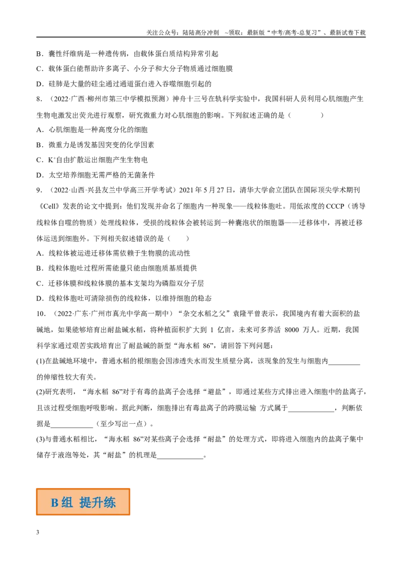 《解密03细胞的物质输入和输出（分层训练）（原卷版）_06-生物-高考总复习_二轮复习_2024年_2024年新教材高考生物二轮复习讲义分层训练题考点_资料》第3页预览