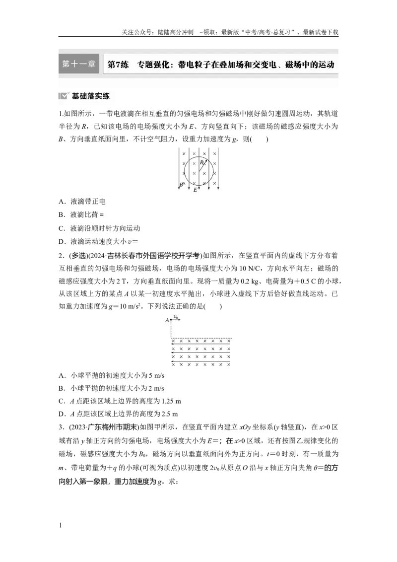 《第十一章　第7练　专题强化：带电粒子在叠加场和交变电、磁场中的运动_04-物理-高考总复习_一轮复习_2025年_2025年大一轮复习讲义人教版物理_资料_1-资料_大一轮复习讲义学生专用》第1页预览