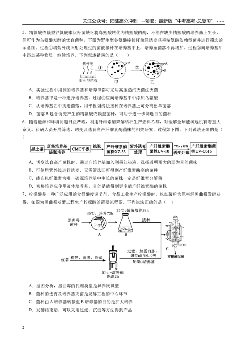 《第十单元生物技术与工程（综合训练）（四川专用）（学生版）_06-生物-高考总复习_一轮复习_2026年-生物高考一轮复习_2026年高考生物一轮课件+讲义+练习（四川专用）-G335》第2页预览