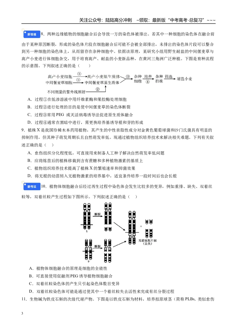 《第十单元生物技术与工程（综合训练）（四川专用）（学生版）_06-生物-高考总复习_一轮复习_2026年-生物高考一轮复习_2026年高考生物一轮课件+讲义+练习（四川专用）-G335》第3页预览
