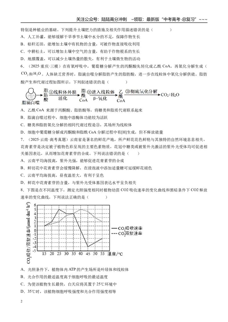 《第三单元细胞的能量供应和利用（综合训练）（湖南专用）（学生版）_06-生物-高考总复习_一轮复习_2026年-生物高考一轮复习_2026年高考生物一轮课件+讲义+练习（湖南专用）-G331》第2页预览
