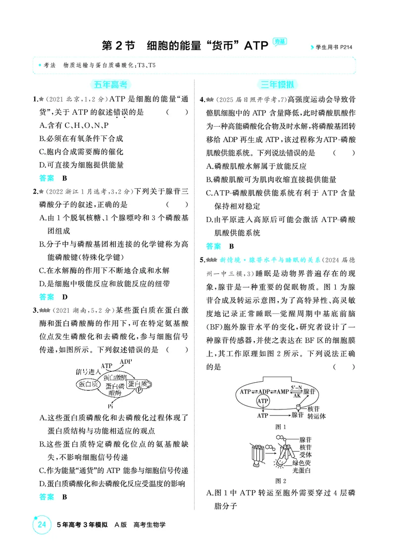 《1_精练册PDF-第5章细胞的能量供应和利用_2026版教学资源包_202653高考总复习A版_山东版_2026版.山东版.选考总复习.生物.5·3A版_第1部分分子与细胞_第5章细胞的能量供应和利用_1_精练册PDF》第3页预览