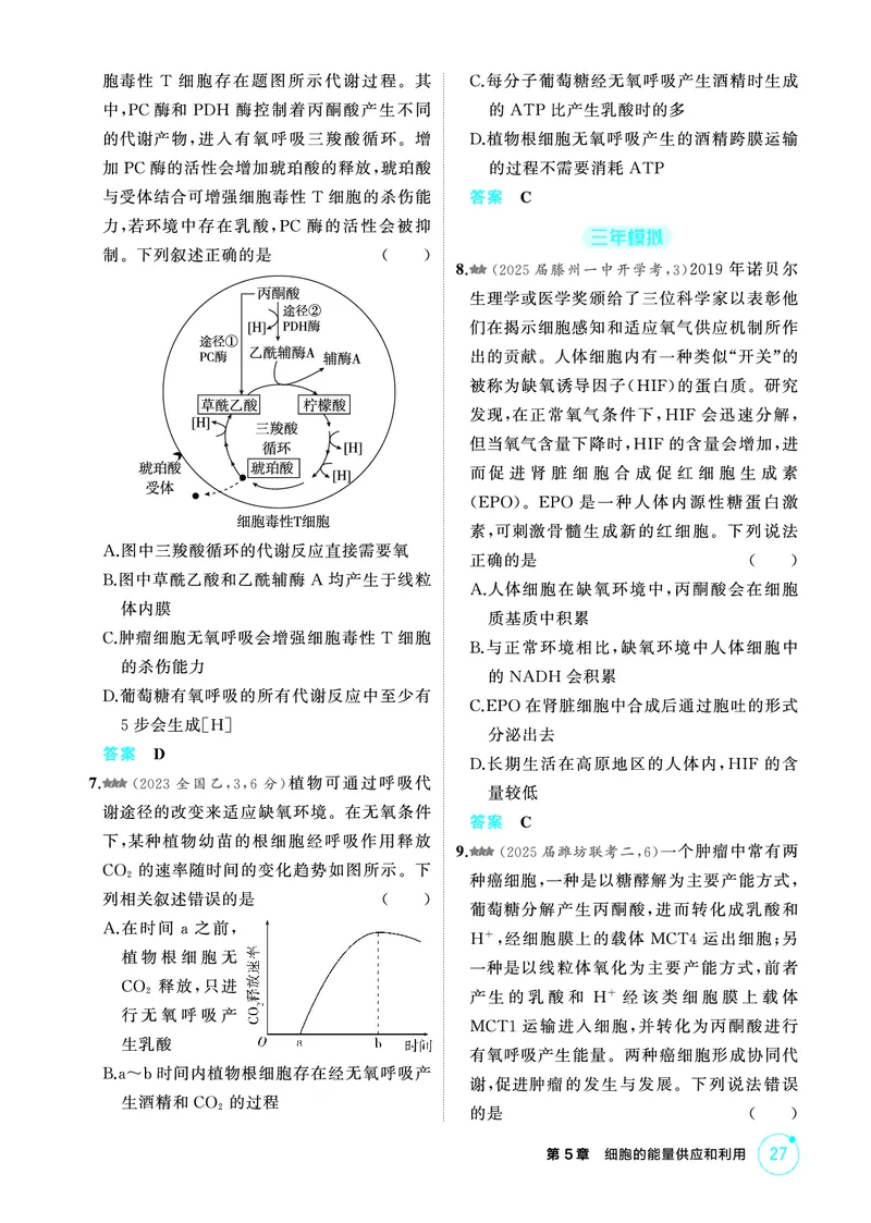 《1_精练册PDF-第5章细胞的能量供应和利用_2026版教学资源包_202653高考总复习A版_山东版_2026版.山东版.选考总复习.生物.5·3A版_第1部分分子与细胞_第5章细胞的能量供应和利用_1_精练册PDF》第6页预览