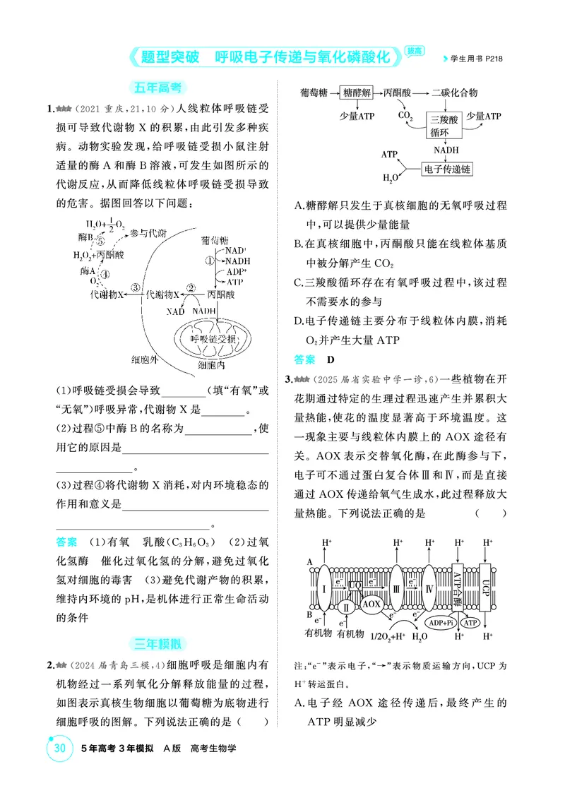 《1_精练册PDF-第5章细胞的能量供应和利用_2026版教学资源包_202653高考总复习A版_山东版_2026版.山东版.选考总复习.生物.5·3A版_第1部分分子与细胞_第5章细胞的能量供应和利用_1_精练册PDF》第9页预览