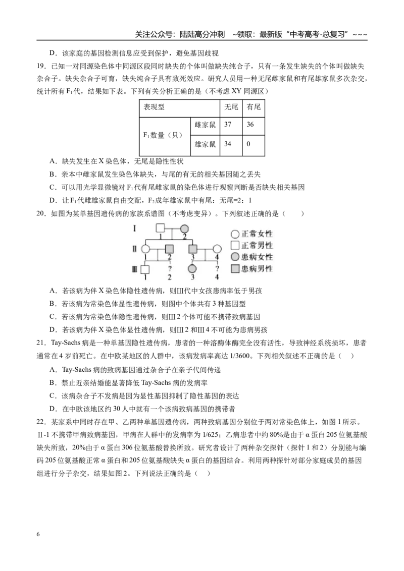 《第五单元基因的传递规律（综合训练）（四川专用）（学生版）_06-生物-高考总复习_一轮复习_2026年-生物高考一轮复习_2026年高考生物一轮课件+讲义+练习（四川专用）-G335》第6页预览