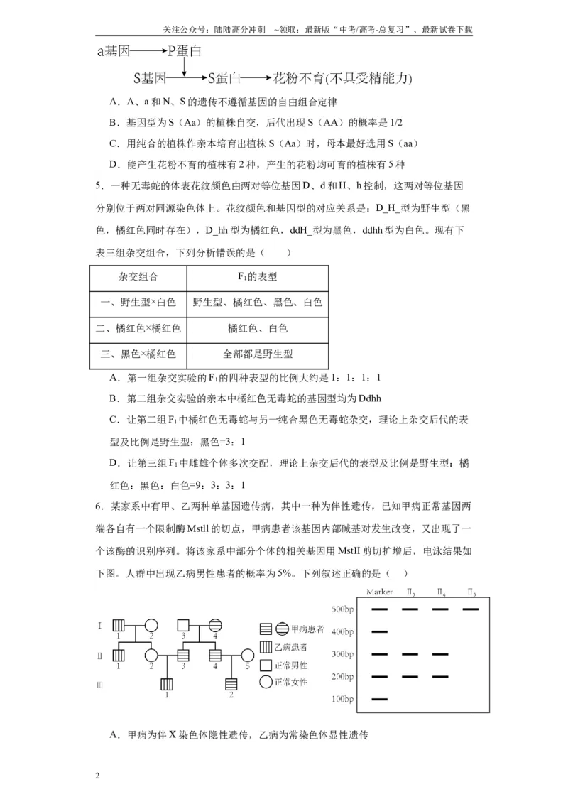 《第五单元基因的传递规律（测试卷）（原卷版)_06-生物-高考总复习_一轮复习_2024年_2024年高考生物一轮复习重难点专项突破_资料》第2页预览