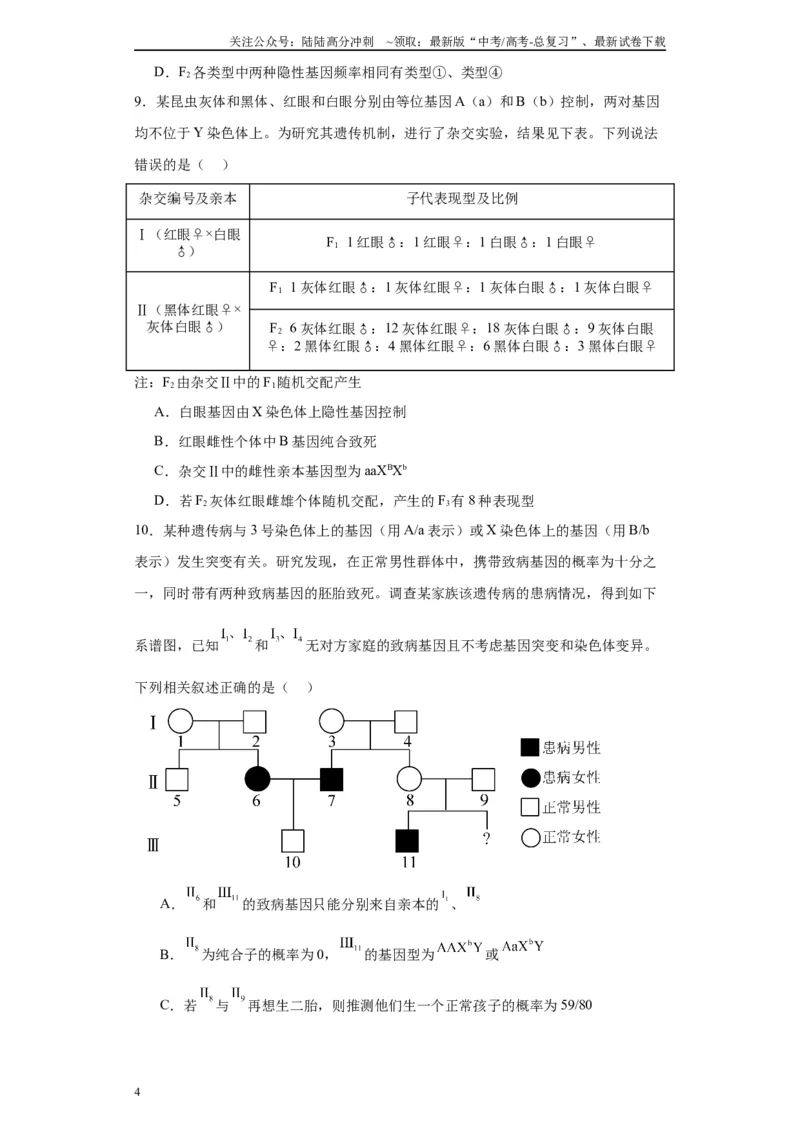 《第五单元基因的传递规律（测试卷）（原卷版)_06-生物-高考总复习_一轮复习_2024年_2024年高考生物一轮复习重难点专项突破_资料》第4页预览