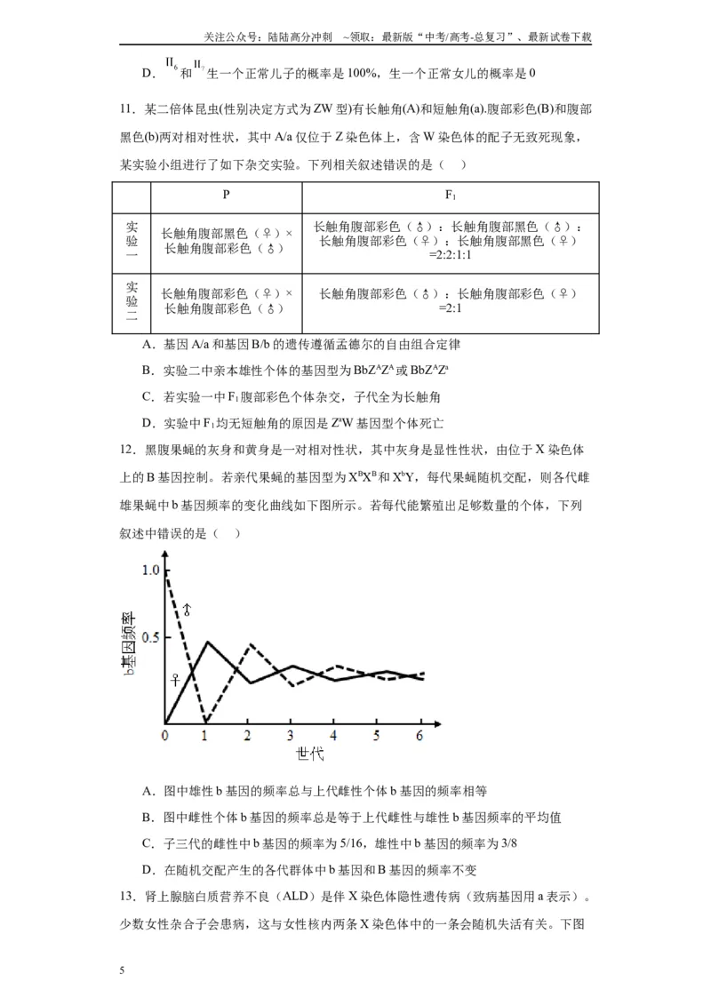 《第五单元基因的传递规律（测试卷）（原卷版)_06-生物-高考总复习_一轮复习_2024年_2024年高考生物一轮复习重难点专项突破_资料》第5页预览