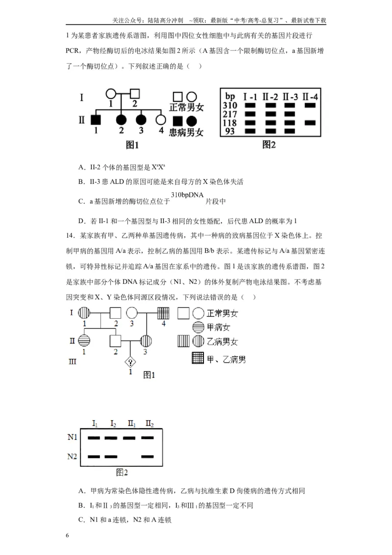 《第五单元基因的传递规律（测试卷）（原卷版)_06-生物-高考总复习_一轮复习_2024年_2024年高考生物一轮复习重难点专项突破_资料》第6页预览